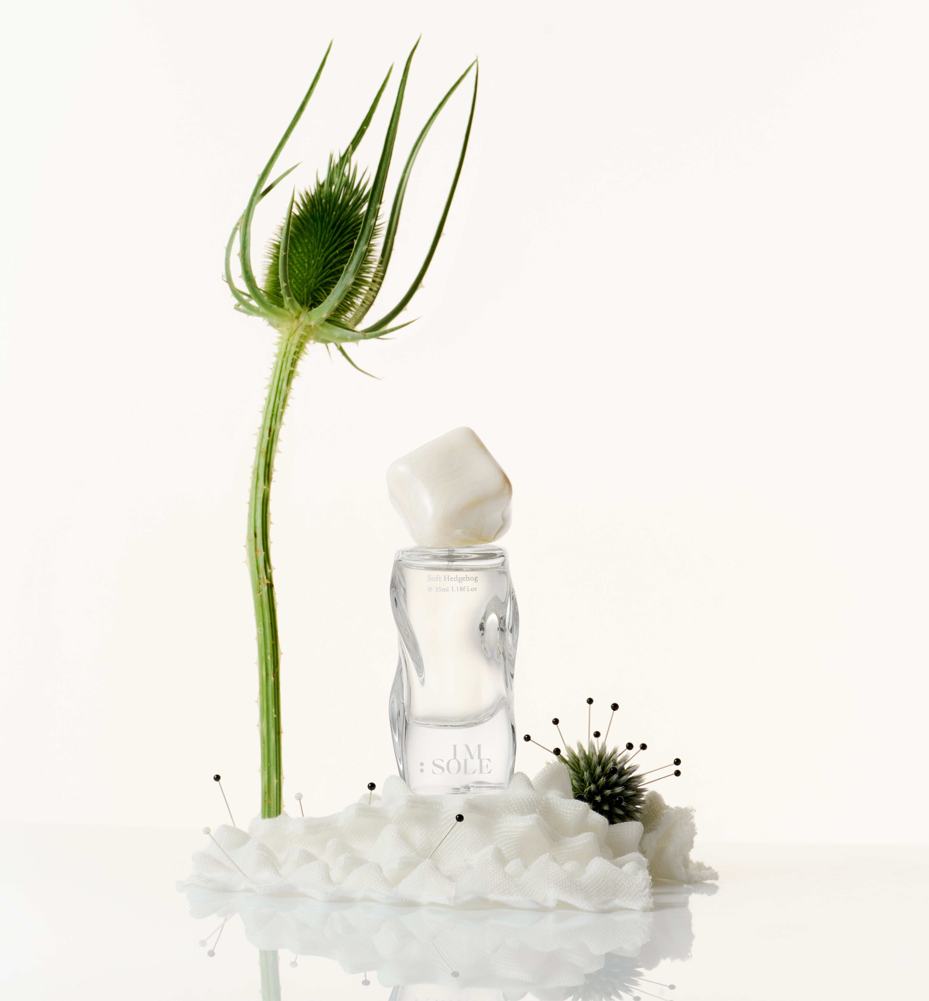 PERFUME ：SOFT HEDGEHOG