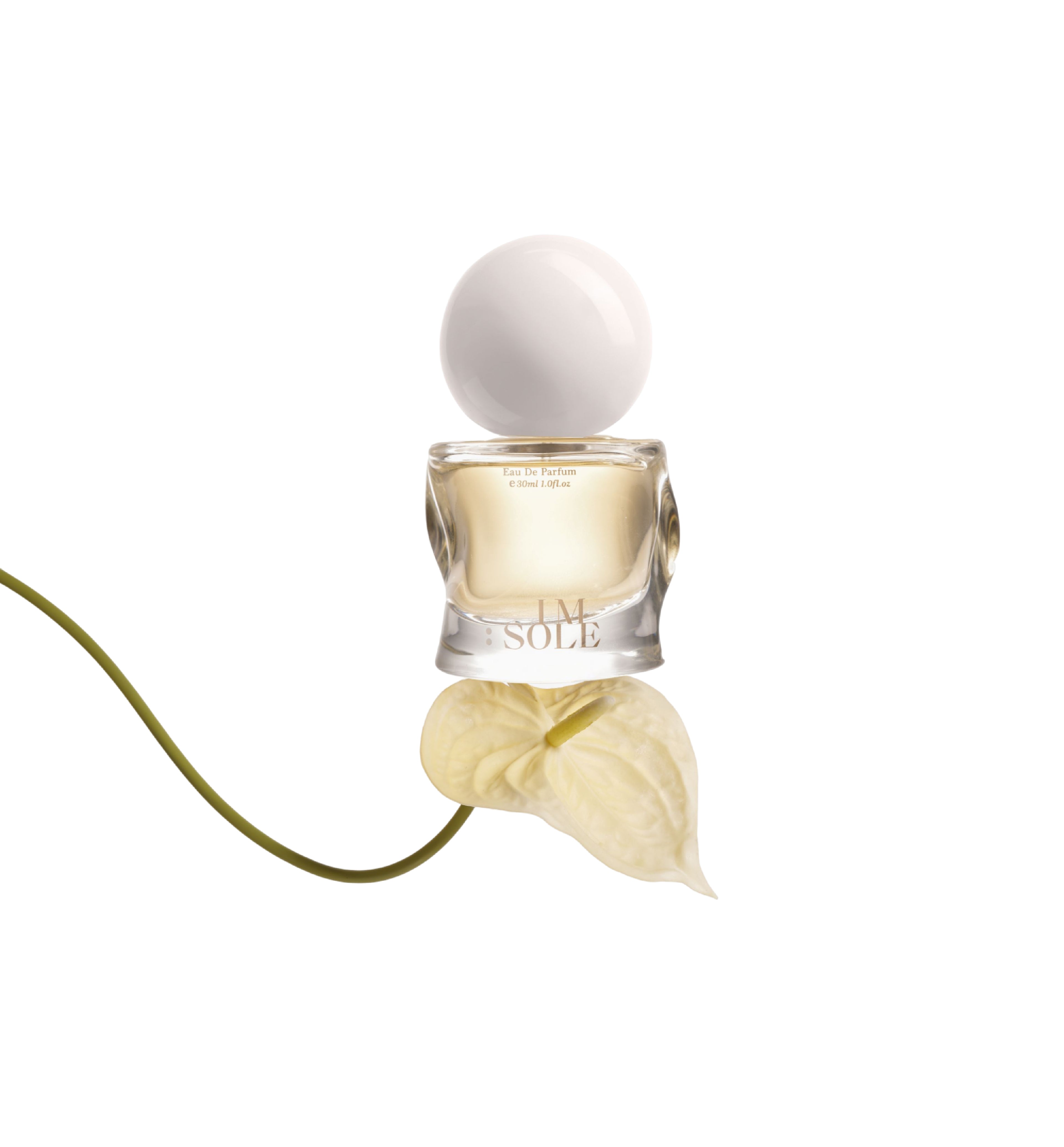 PERFUME ：THE PANDORA