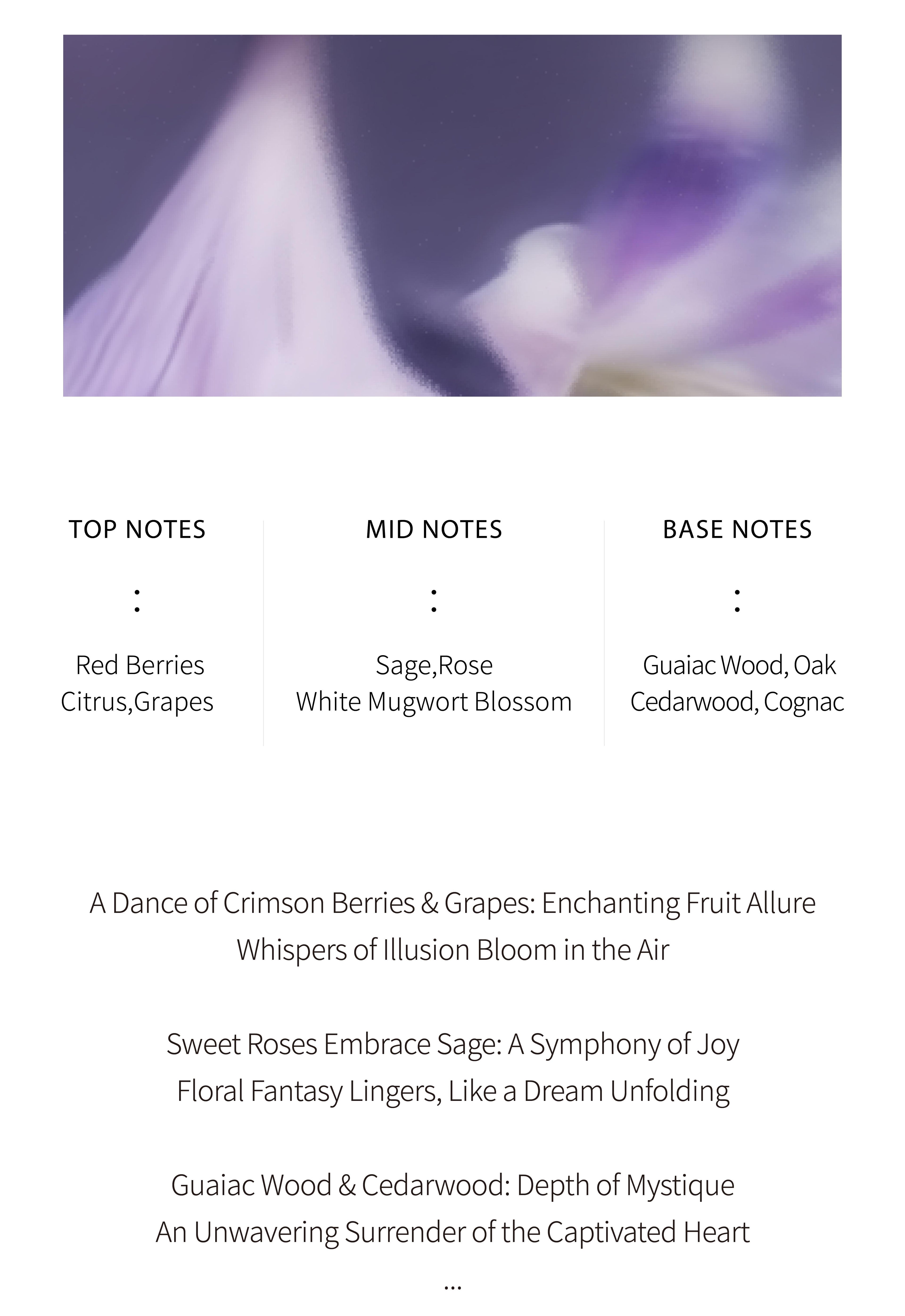 PERFUME ：THE WITCH