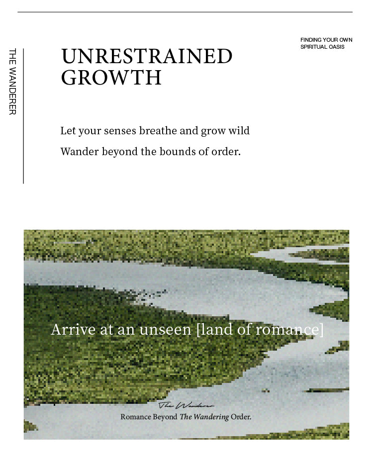 PERFUME ：THE WANDERER