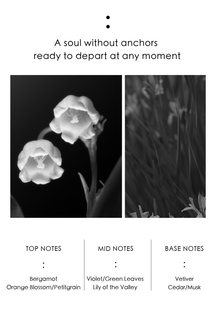 PERFUME ：THE WANDERER