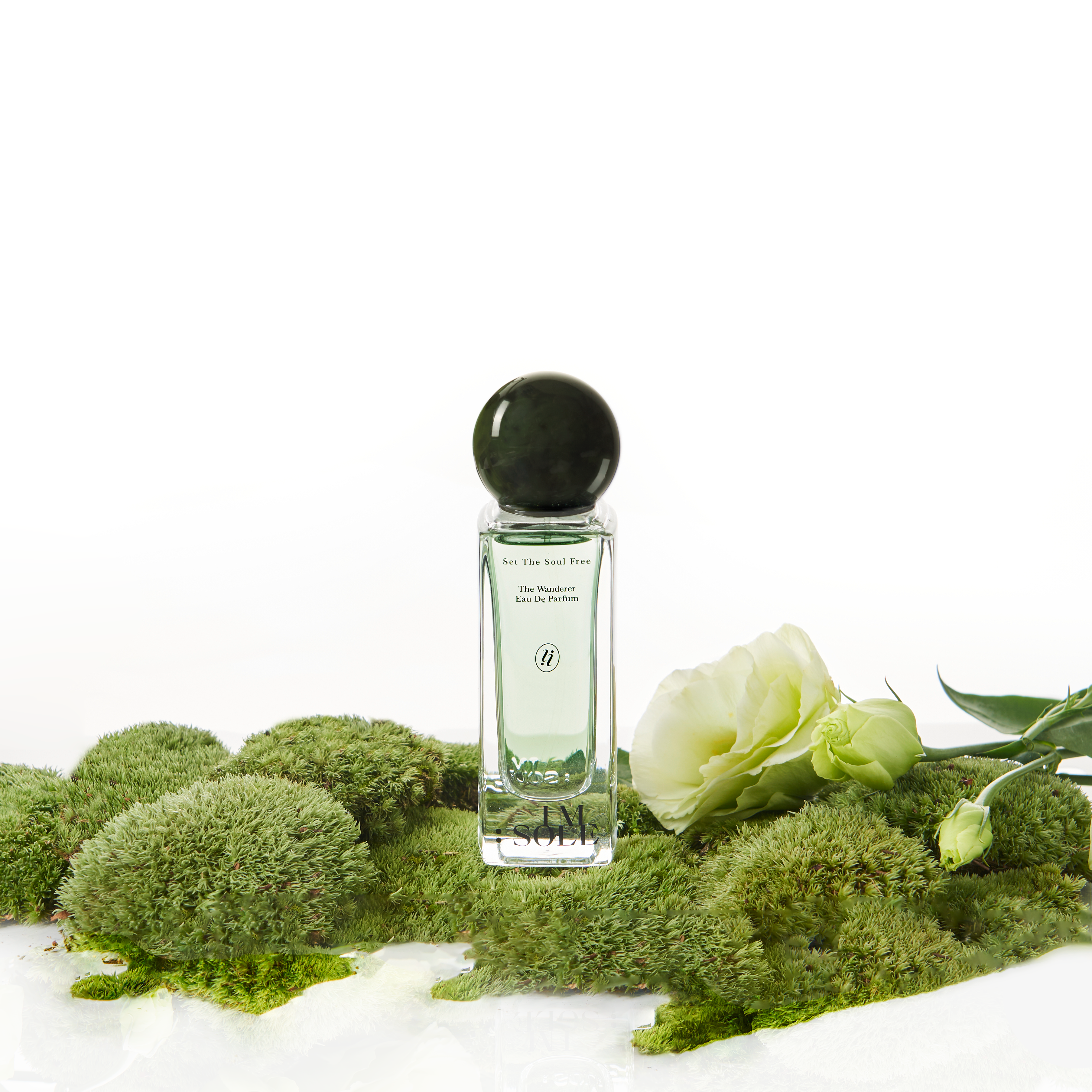 PERFUME ：THE WANDERER